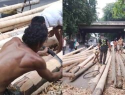 Jelang HUT RI, Pasar Batang Pinang di Medan Lesu: Baru 45 Batang Terjual
